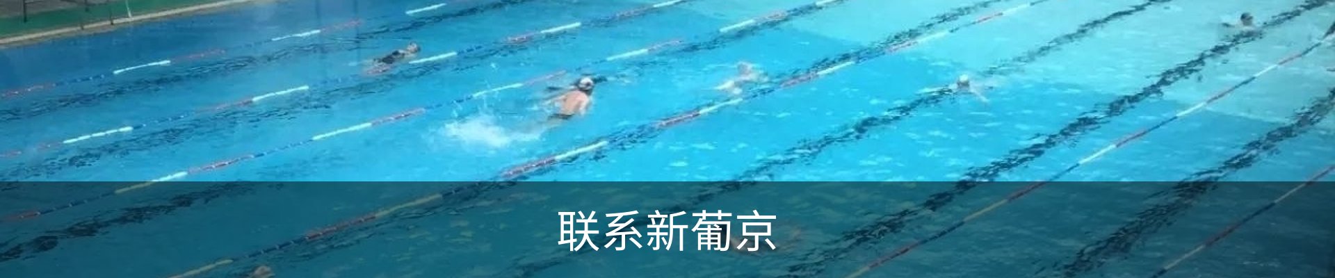联系新葡京